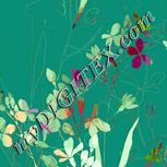 Colour:K