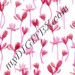 Colour:B
