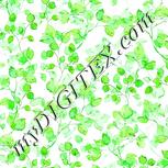 Colour:C