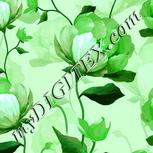 Colour:C