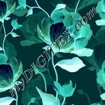 Colour:F