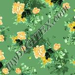 Colour:K