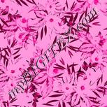 Colour:B