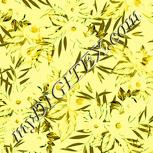 Colour:K