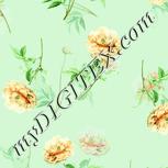 Colour:K