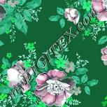 Colour:C