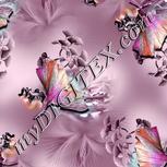 Colour:B