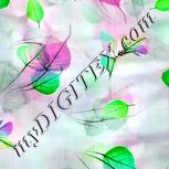 Colour:C