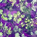 Colour:D
