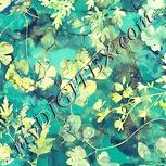 Colour:K