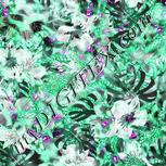 Colour:C