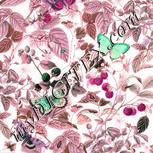 Colour:B