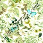 Colour:K