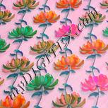 Colour:B