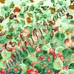 Colour:K
