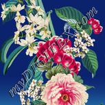 Colour:A
