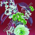 Colour:C