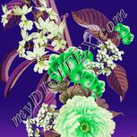 Colour:D