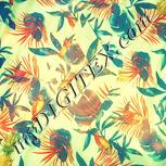 Colour:K