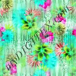 Colour:C