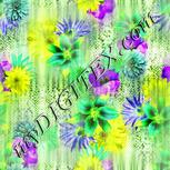 Colour:D
