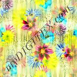 Colour:K
