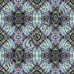 Colour:F