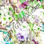 Colour:B