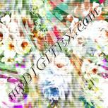 Colour:C