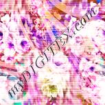 Colour:J
