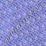 Colour:F