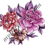 Colour:B