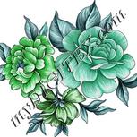 Colour:C
