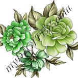 Colour:D