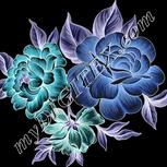Colour:F