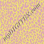 Colour:K