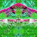 Colour:C