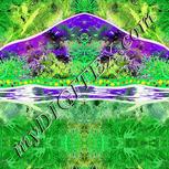 Colour:D