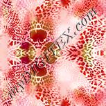 Colour:J