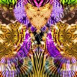 Colour:F