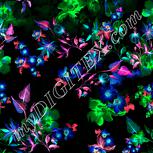 Colour:F