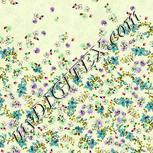 Colour:D