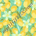 Colour:K