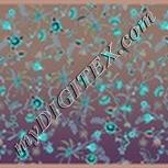 Colour:F
