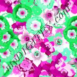 Colour:B