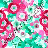 Colour:C