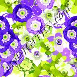 Colour:D