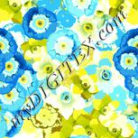 Colour:K