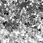 Colour:E