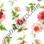 Colour:A